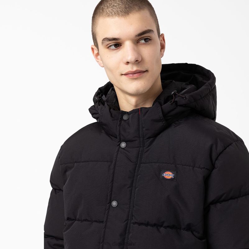 anorak pufer jakna s pogledom na ledenjak muškarci Dickies redovito 6BPL61177 odjeća