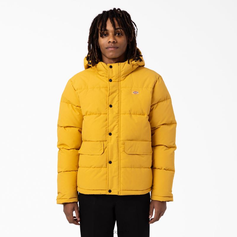 anorak pufer jakna s pogledom na ledenjak muškarci Dickies redovito 6BPL61178 odjeća