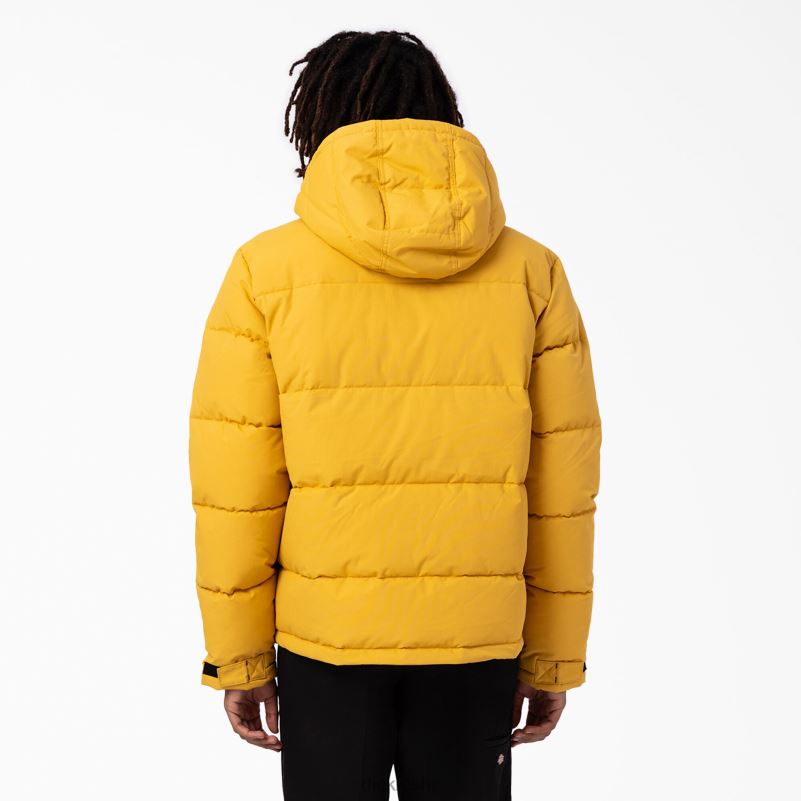 anorak pufer jakna s pogledom na ledenjak muškarci Dickies redovito 6BPL61178 odjeća