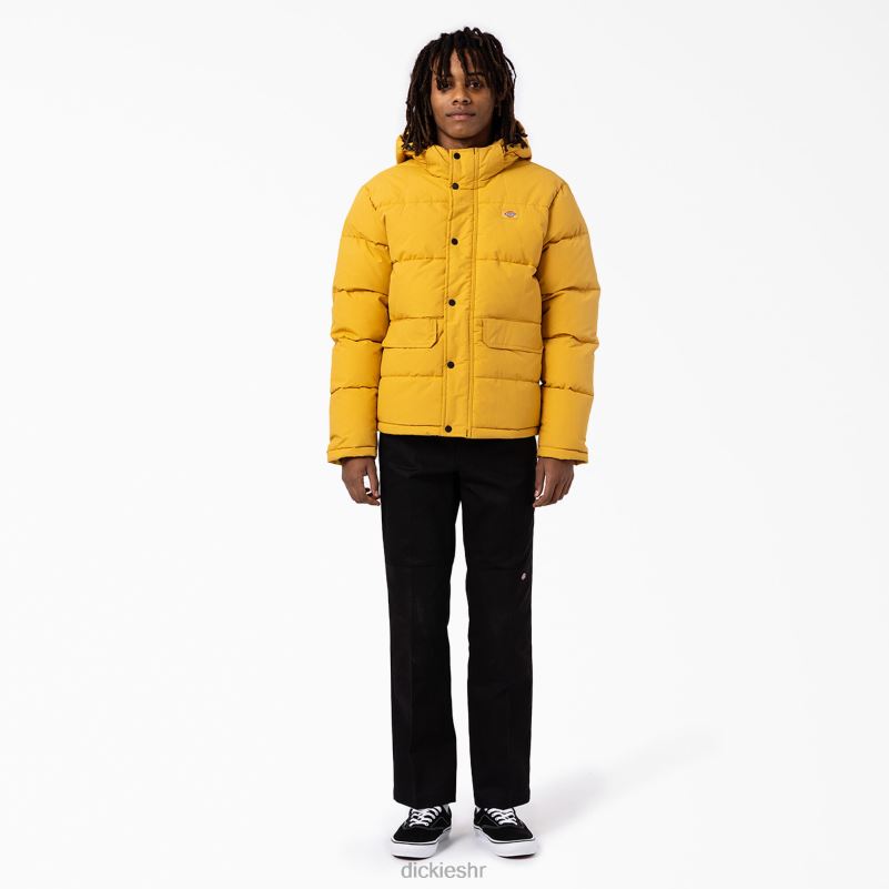 anorak pufer jakna s pogledom na ledenjak muškarci Dickies redovito 6BPL61178 odjeća