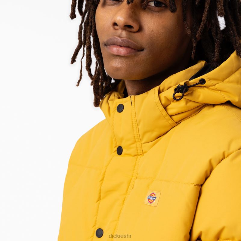 anorak pufer jakna s pogledom na ledenjak muškarci Dickies redovito 6BPL61178 odjeća