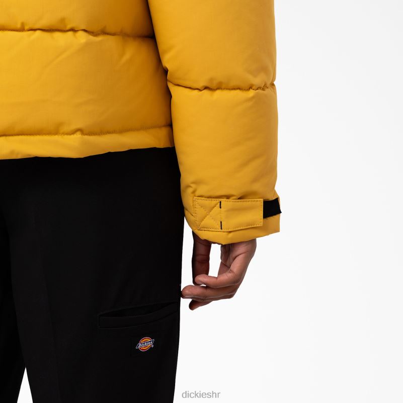 anorak pufer jakna s pogledom na ledenjak muškarci Dickies redovito 6BPL61178 odjeća