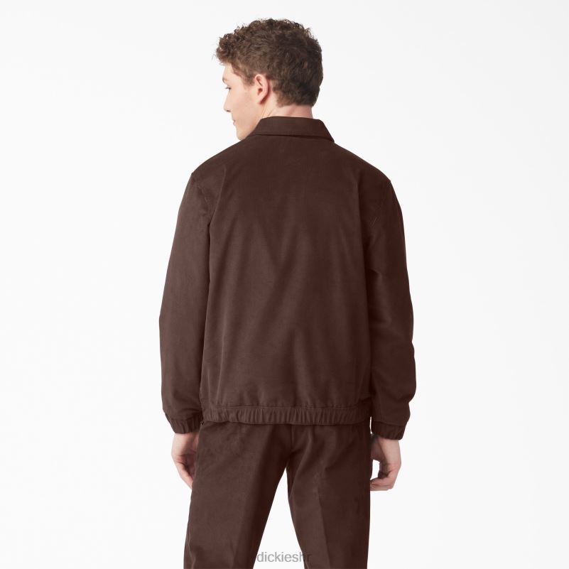podstavljena jakna od samta muškarci Dickies redovito 6BPL61075 odjeća