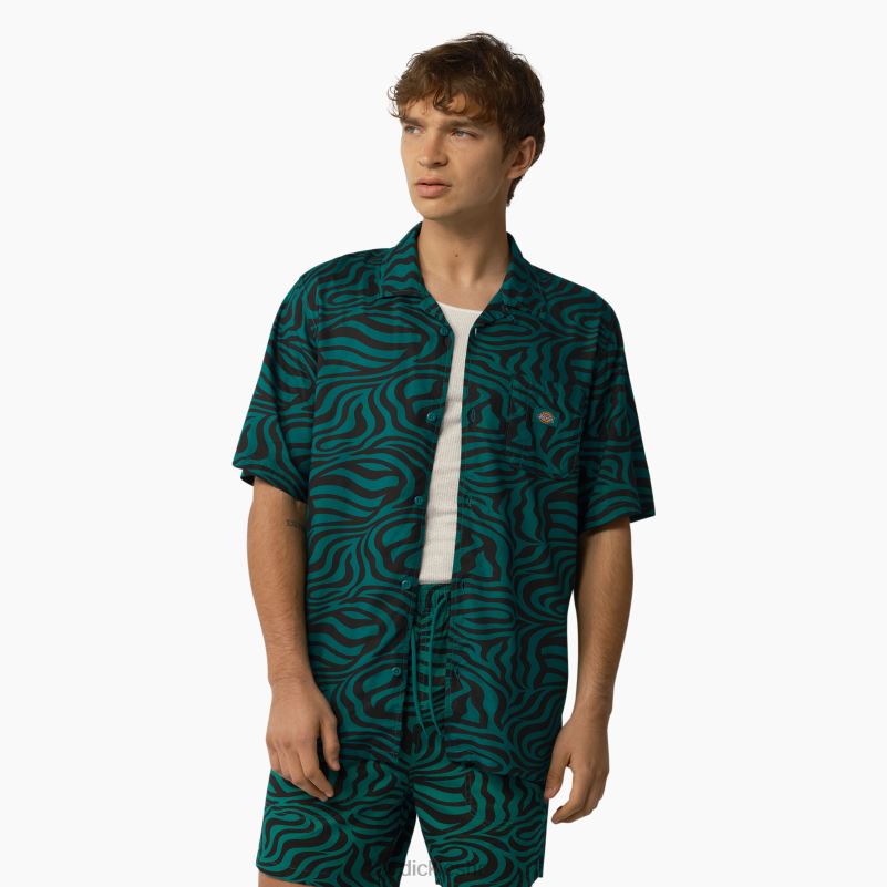 majica kratkih rukava s printom zebre muškarci Dickies jabučna metvica (ar2) 6BPL6691 odjeća