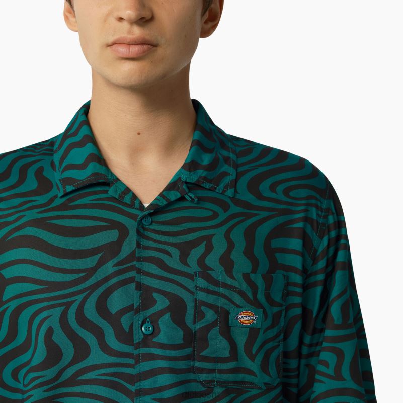 majica kratkih rukava s printom zebre muškarci Dickies jabučna metvica (ar2) 6BPL6691 odjeća
