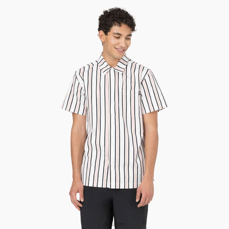 skateboarding cooling majica opuštenog kroja muškarci Dickies bijela/lotos/crna pruga (wus) 6BPL6826 odjeća