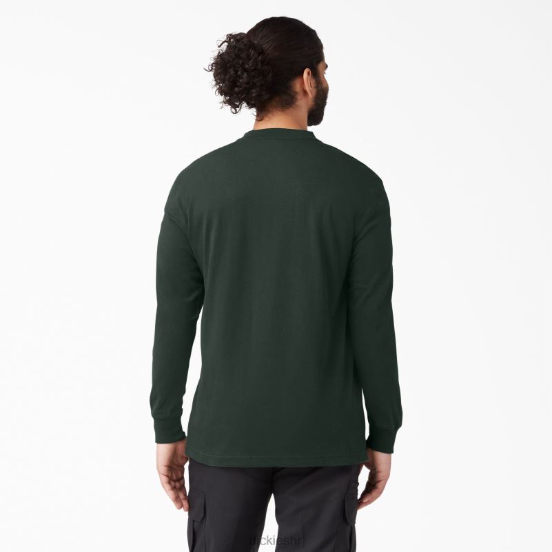 Henley majica dugih rukava teške kategorije muškarci Dickies lovačko zeleno (gh) 6BPL6697 odjeća