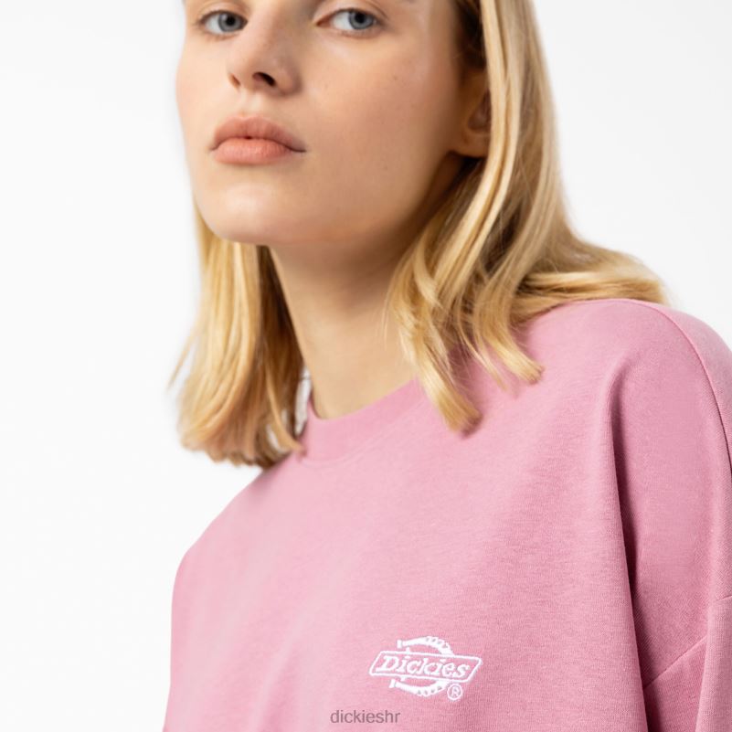 Summerdale majica dugih rukava žene Dickies lisičarka (f2g) 6BPL61989 odjeća