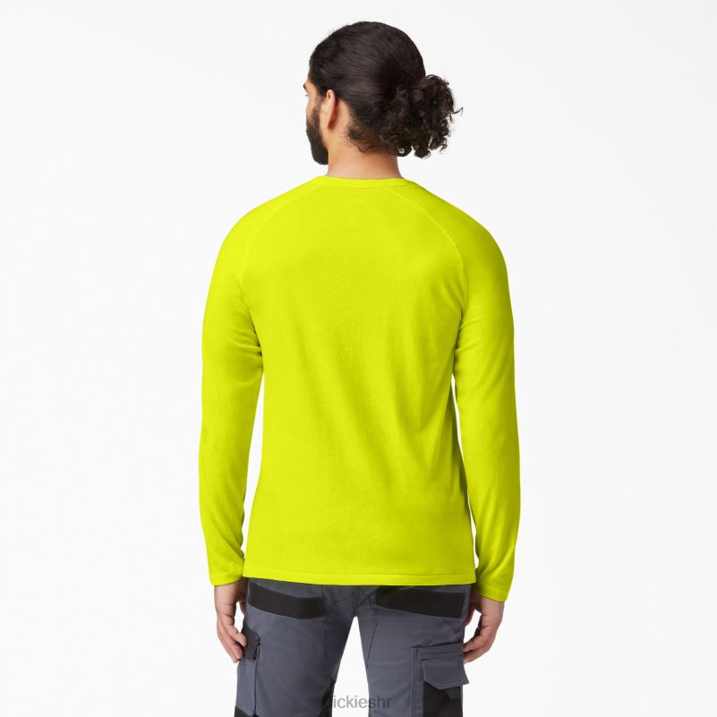 cool majica dugih rukava muškarci Dickies svijetlo žuta (bwd) 6BPL6616 odjeća