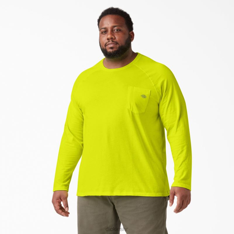 cool majica dugih rukava muškarci Dickies svijetlo žuta (bwd) 6BPL6616 odjeća