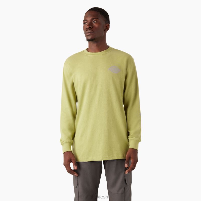 majica s logom teške kategorije dugih rukava muškarci Dickies paprat vrijesak (f2h) 6BPL6869 odjeća