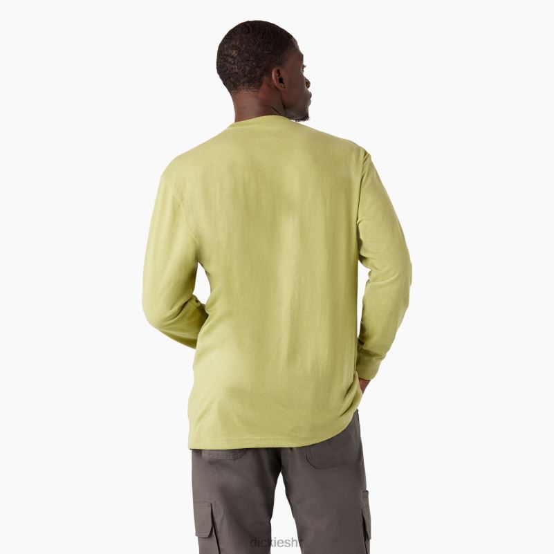majica s logom teške kategorije dugih rukava muškarci Dickies paprat vrijesak (f2h) 6BPL6869 odjeća