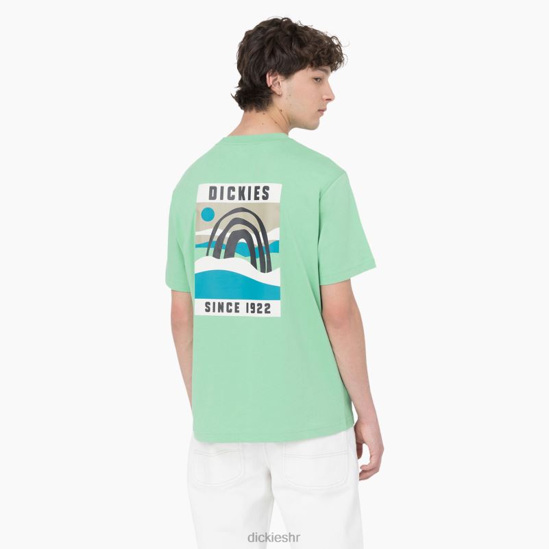 Baker City majica kratkih rukava muškarci Dickies jabučna metvica (ar2) 6BPL6882 odjeća
