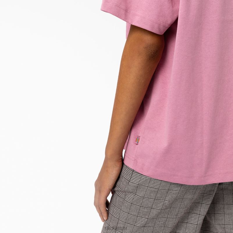Summerdale majica kratkih rukava žene Dickies lisičarka (f2g) 6BPL61979 odjeća