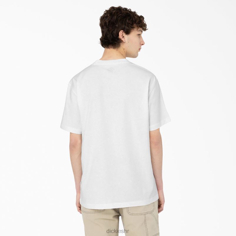 Summerdale majica kratkih rukava muškarci Dickies bijelo (wh) 6BPL6583 odjeća
