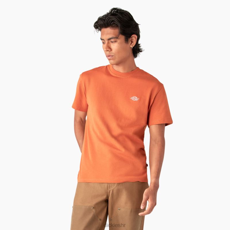 Summerdale majica kratkih rukava muškarci Dickies bombay smeđa (b2b) 6BPL6581 odjeća
