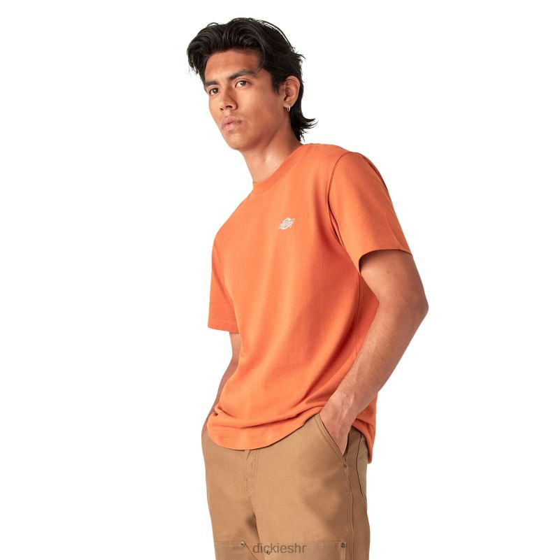 Summerdale majica kratkih rukava muškarci Dickies bombay smeđa (b2b) 6BPL6581 odjeća