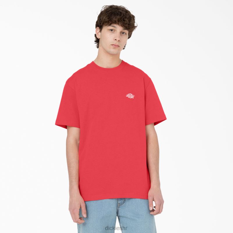 Summerdale majica kratkih rukava muškarci Dickies gorko slatko (bw2) 6BPL6580 odjeća