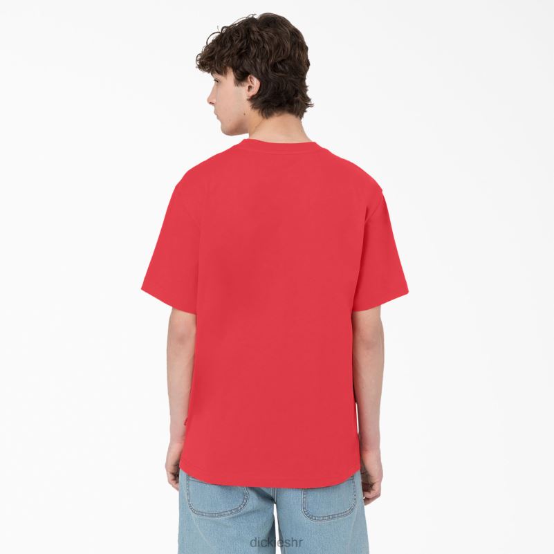 Summerdale majica kratkih rukava muškarci Dickies gorko slatko (bw2) 6BPL6580 odjeća