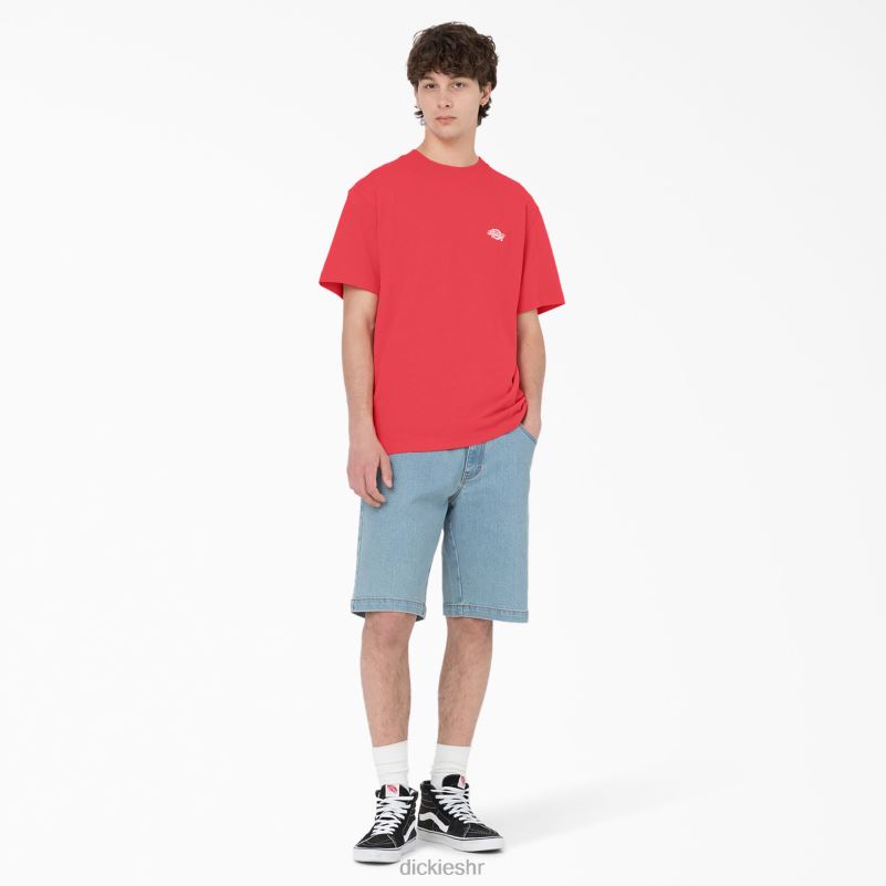 Summerdale majica kratkih rukava muškarci Dickies gorko slatko (bw2) 6BPL6580 odjeća