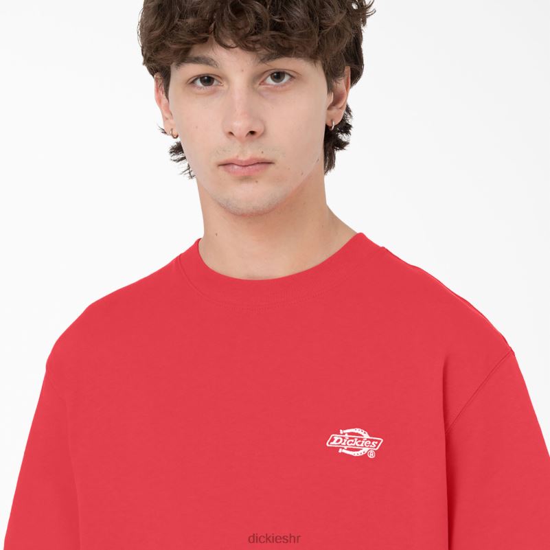 Summerdale majica kratkih rukava muškarci Dickies gorko slatko (bw2) 6BPL6580 odjeća