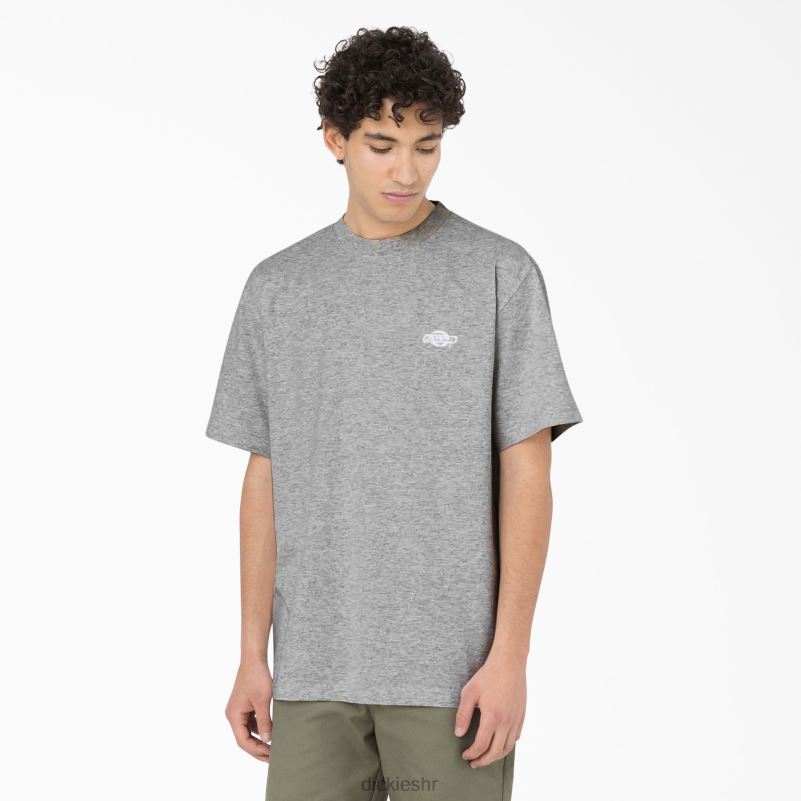 Summerdale majica kratkih rukava muškarci Dickies vrijesak sivi (hg) 6BPL6582 odjeća