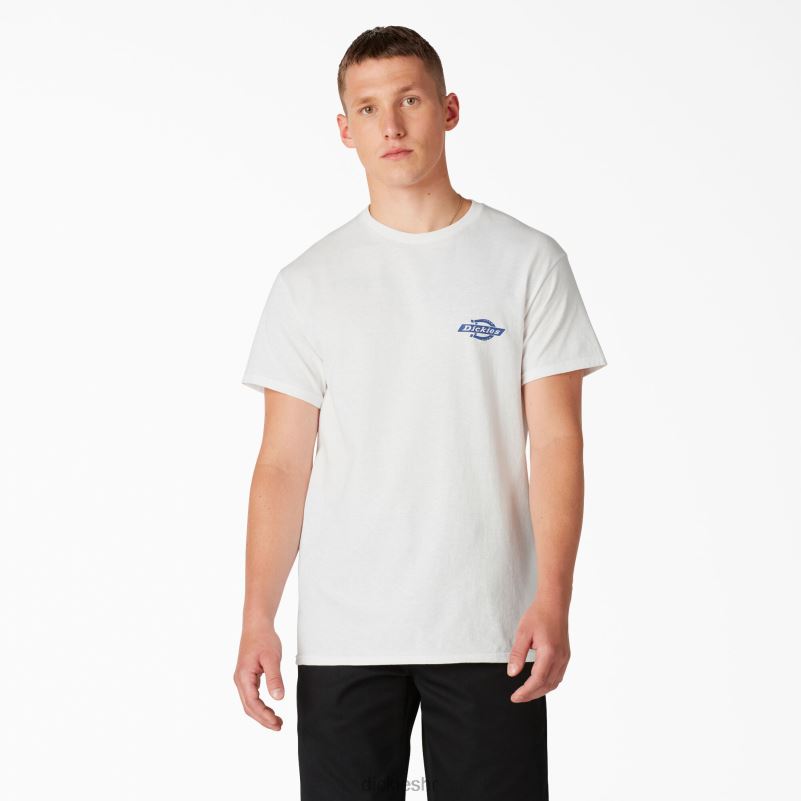 baštinska grafička majica muškarci Dickies bijelo (wh) 6BPL6905 odjeća