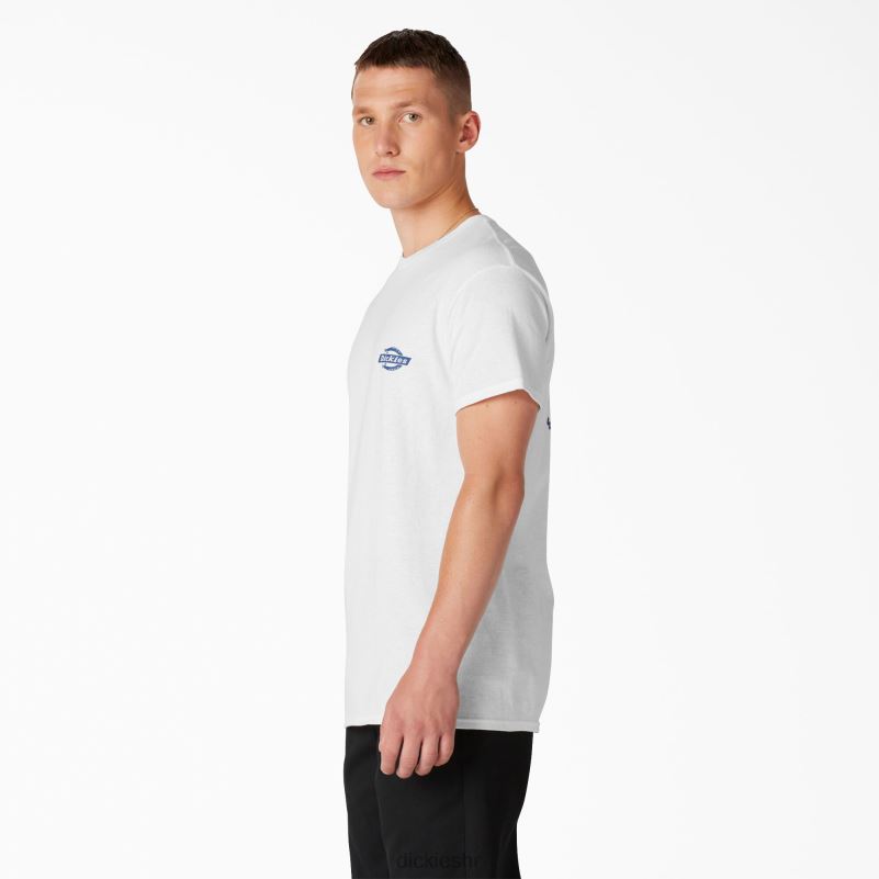 baštinska grafička majica muškarci Dickies bijelo (wh) 6BPL6905 odjeća