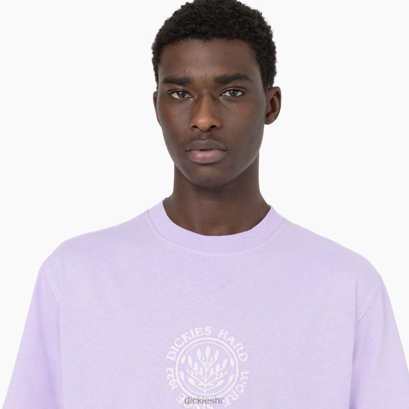 beavertown majica kratkih rukava muškarci Dickies ljubičasta ruža (ur2) 6BPL6875 odjeća