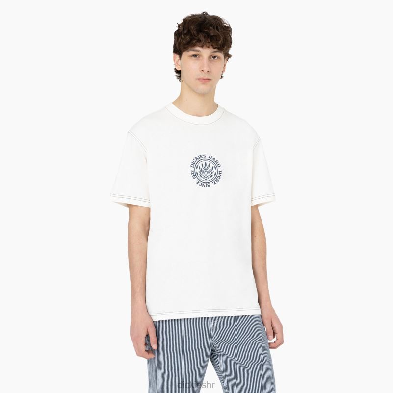 beavertown majica kratkih rukava muškarci Dickies oblak (cl9) 6BPL6873 odjeća