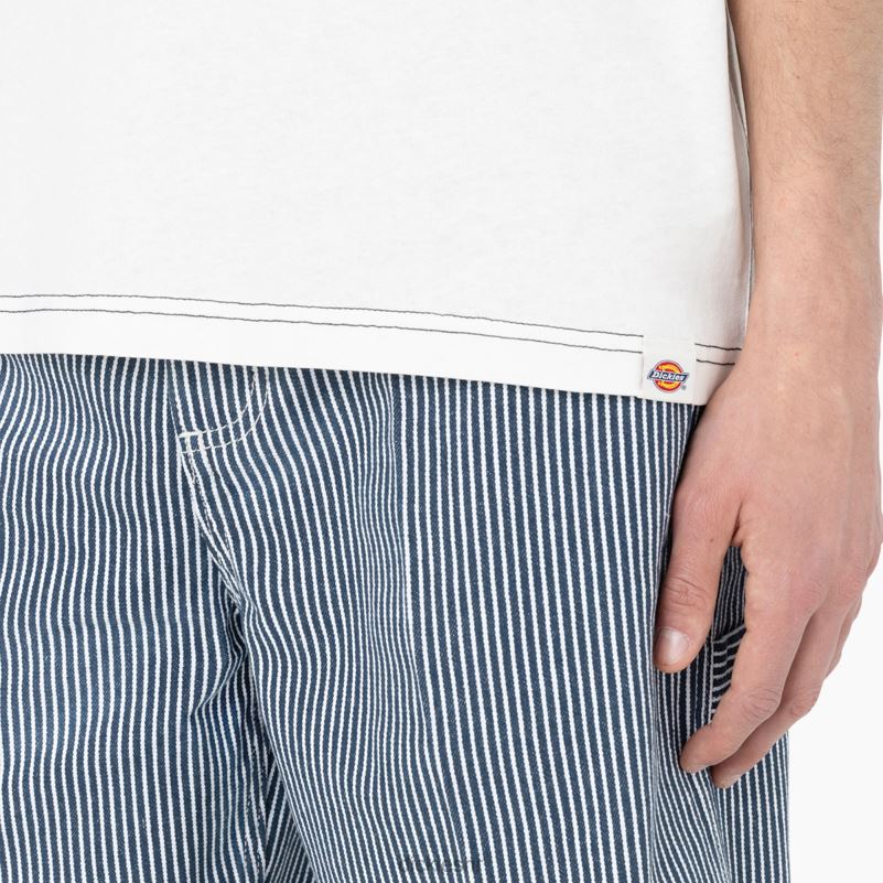 beavertown majica kratkih rukava muškarci Dickies oblak (cl9) 6BPL6873 odjeća