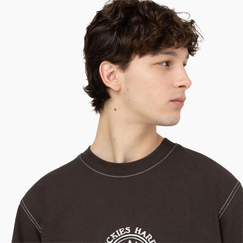 beavertown majica kratkih rukava muškarci Dickies tamno smeđa (db) 6BPL6874 odjeća