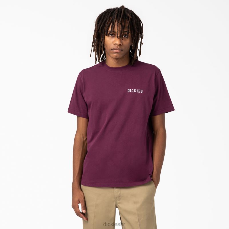 cleveland majica kratkih rukava s grafikom muškarci Dickies vino od grožđa (gw9) 6BPL6847 odjeća