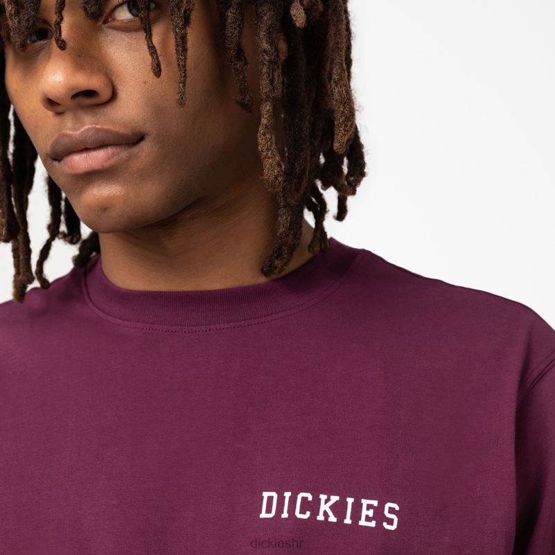 cleveland majica kratkih rukava s grafikom muškarci Dickies vino od grožđa (gw9) 6BPL6847 odjeća