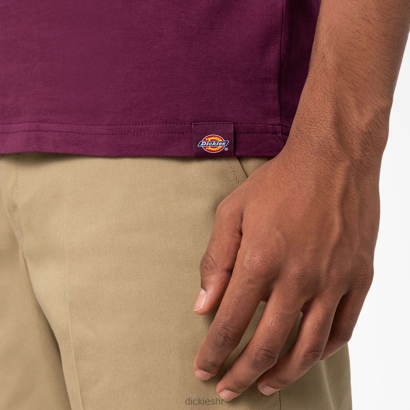 cleveland majica kratkih rukava s grafikom muškarci Dickies vino od grožđa (gw9) 6BPL6847 odjeća
