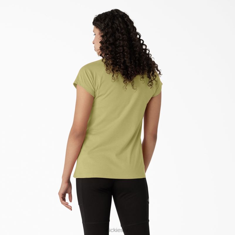 cool majica kratkih rukava žene Dickies paprat vrijesak (f2h) 6BPL61578 odjeća