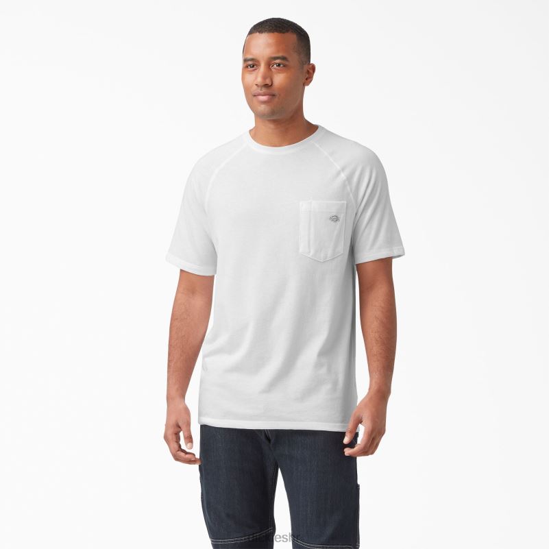 cool majica kratkih rukava muškarci Dickies bijelo (wh) 6BPL6555 odjeća