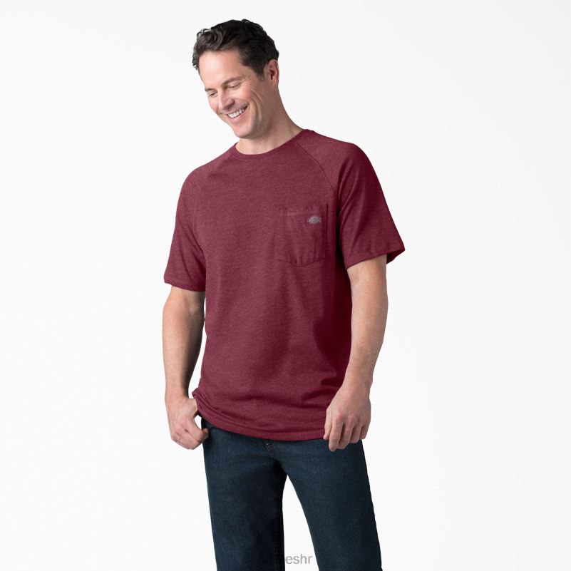 cool majica kratkih rukava muškarci Dickies bordo vrijesak (byh) 6BPL6539 odjeća