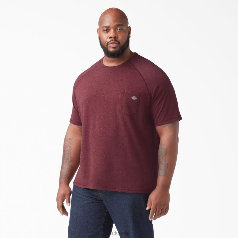 cool majica kratkih rukava muškarci Dickies bordo vrijesak (byh) 6BPL6539 odjeća