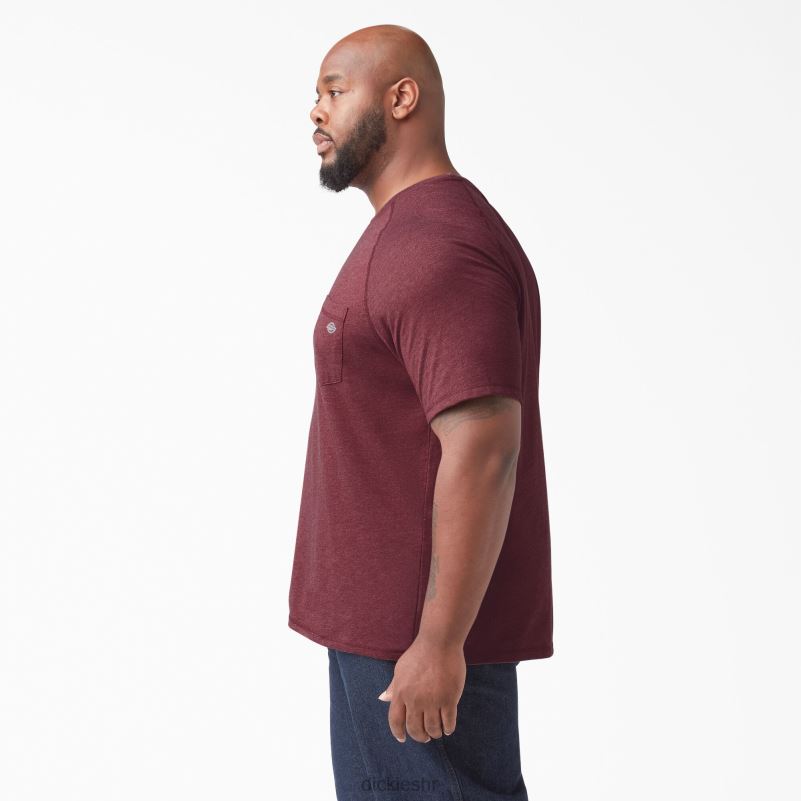 cool majica kratkih rukava muškarci Dickies bordo vrijesak (byh) 6BPL6539 odjeća