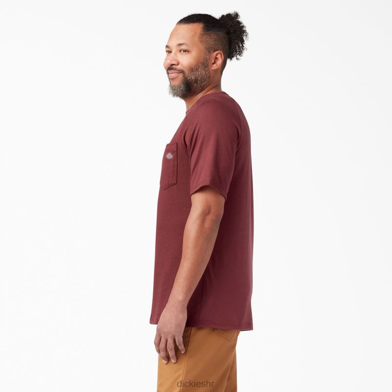 cool majica kratkih rukava muškarci Dickies crvena trska (cn) 6BPL6540 odjeća
