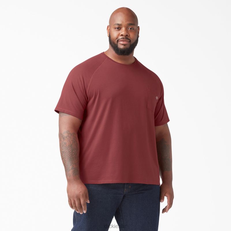 cool majica kratkih rukava muškarci Dickies crvena trska (cn) 6BPL6540 odjeća
