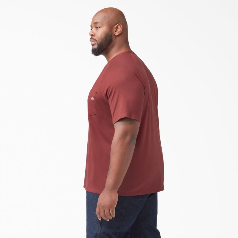 cool majica kratkih rukava muškarci Dickies crvena trska (cn) 6BPL6540 odjeća