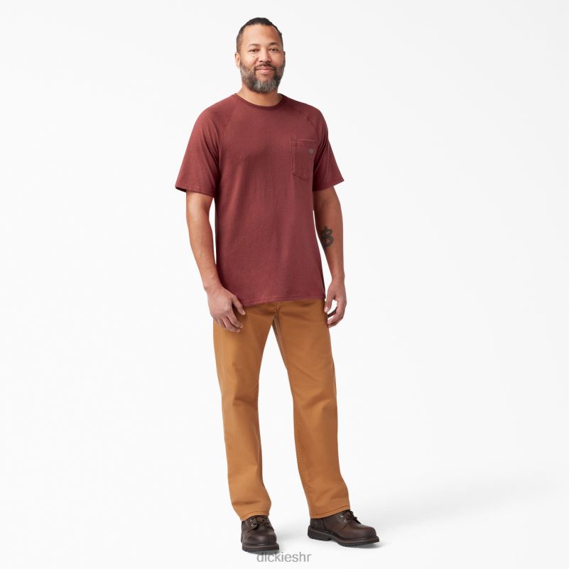 cool majica kratkih rukava muškarci Dickies crvena trska (cn) 6BPL6540 odjeća