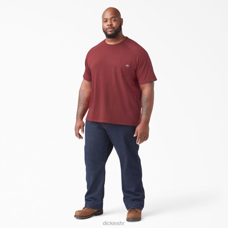 cool majica kratkih rukava muškarci Dickies crvena trska (cn) 6BPL6540 odjeća