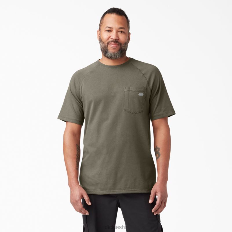 cool majica kratkih rukava muškarci Dickies gljiva (mr1) 6BPL6549 odjeća