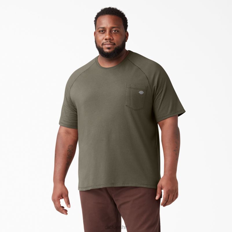 cool majica kratkih rukava muškarci Dickies gljiva (mr1) 6BPL6549 odjeća