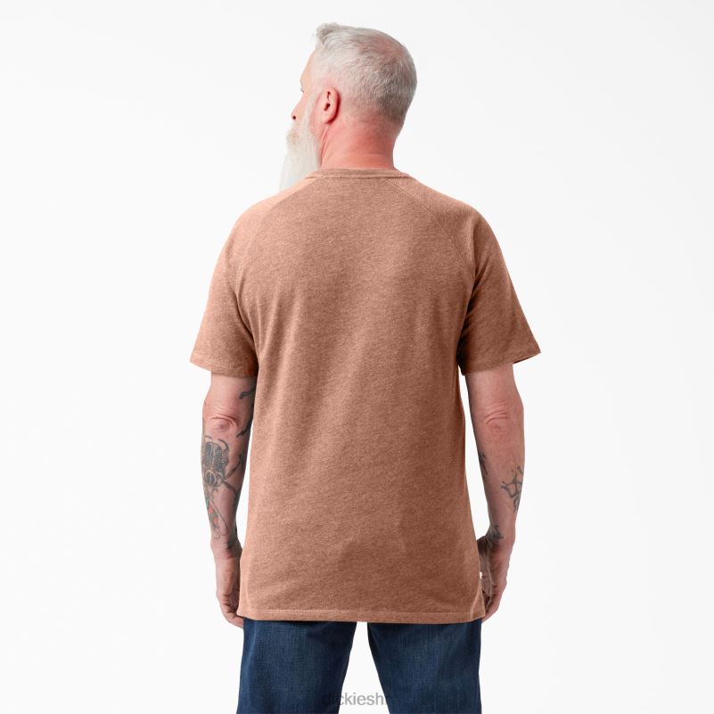 cool majica kratkih rukava muškarci Dickies pluto jednobojni vrijesak (c2k) 6BPL6541 odjeća