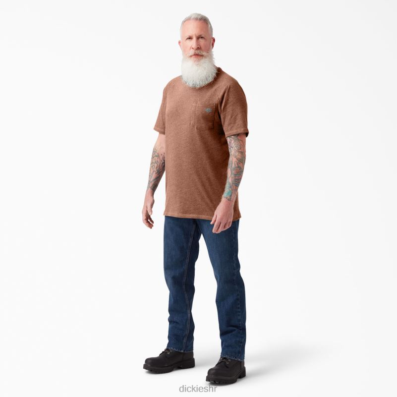 cool majica kratkih rukava muškarci Dickies pluto jednobojni vrijesak (c2k) 6BPL6541 odjeća