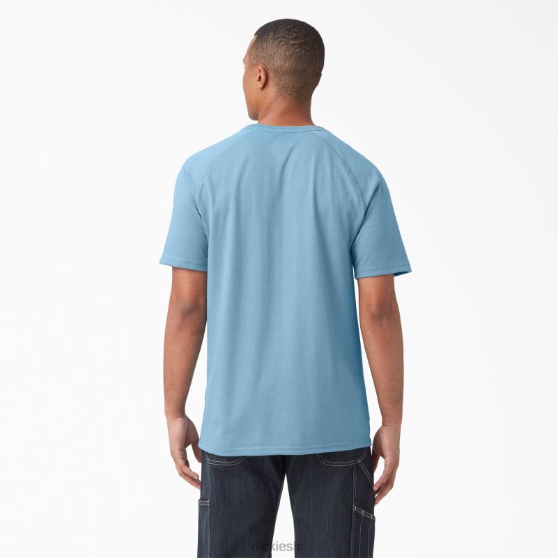cool majica kratkih rukava muškarci Dickies prašnjavo plava (dl) 6BPL6542 odjeća